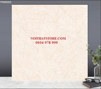 Gạch lát nền TTC 60x60 PN66005