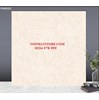 Gạch lát nền TTC 60x60 PN66005