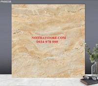Gạch lát nền TTC 60x60 PN66038