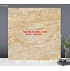Gạch lát nền TTC 60x60 PN66038