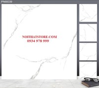 Gạch lát nền TTC 60x60 PN66039