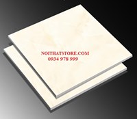 Gạch lát nền TTC 60x60 PN66040