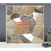 Gạch lát nền TTC 60x60 TSV66001