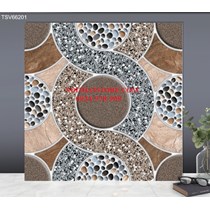 Gạch lát nền TTC 60x60 TSV66201