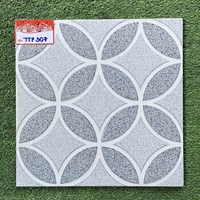 Gạch lát nền TTP 30x30 TTP307