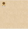 Gạch lát nền Vicenza 60x60 ML 6024C
