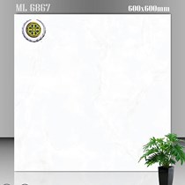 Gạch lát nền Vicenza 60x60 ML 6867