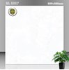 Gạch lát nền Vicenza 60x60 ML 6867