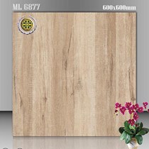 Gạch lát nền Vicenza 60x60 ML 6877