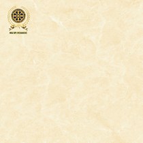 Gạch lát nền Vicenza 60x60 VC 6603C