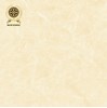 Gạch lát nền Vicenza 60x60 VC 6603C
