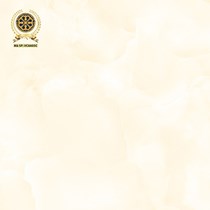 Gạch lát nền Vicenza 60x60 VC 6605C