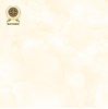 Gạch lát nền Vicenza 60x60 VC 6605C