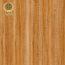 Gạch lát nền Vicenza 60x60 VC 6622C