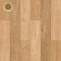 Gạch lát nền Vicenza 60x60 VC 6623C