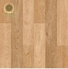 Gạch lát nền Vicenza 60x60 VC 6623C
