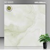 Gạch lát nền Vicenza 60x60 VC 6669