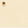 Gạch lát nền Vicenza 80x80 8603