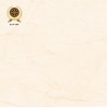 Gạch lát nền Vicenza 80x80 8807
