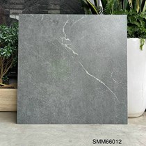 Gạch lát nền Việt Ý 60x60 mờ SMM66012