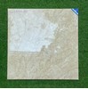 Gạch lát nền Viglacera 80x80 CLGP805