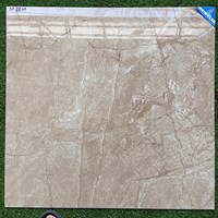 Gạch lát nền Viglacera 80x80 GP8804