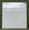 Gạch lát nền Viglacera 80x80 GP8806