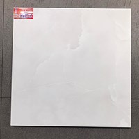 Gạch lát nền Ý Mỹ 600x600 N69046
