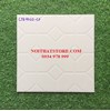 Gạch lát sân vườn 40x40 CTG4010-CP