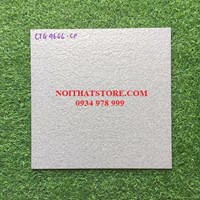 Gạch lát sân vườn 40x40 CTG4606-CP