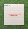 Gạch lát sân vườn 40x40 GD4000-CP