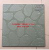 Gạch lát sân vườn 40x40 GD4705
