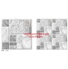 Gạch lát sân vườn 50x50 SV501
