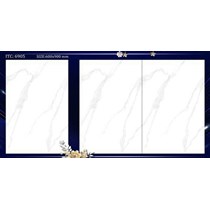 Gạch ốp chân tường 60x90 6905