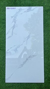 Gạch ốp lát Ấn Độ 60x120 APK120360