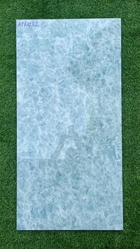 Gạch ốp lát Ấn Độ 60x120 APK1282