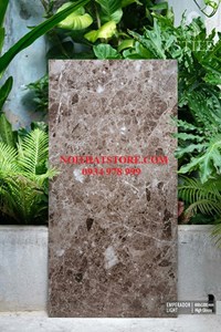 Gạch ốp lát Ấn Độ 60x120 nâu vân đá