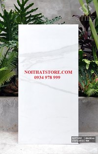 Gạch ốp lát Ấn Độ 60x120 trắng vân khói