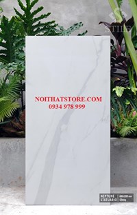 Gạch ốp lát Ấn Độ 60x120 trắng vân xám