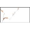 Gạch ốp lát Ấn Độ 60x120 VA-6208