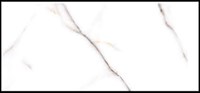 Gạch ốp lát Ấn Độ 60x120 VA-6209