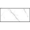 Gạch ốp lát Ấn Độ 60x120 VA-6209