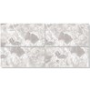 Gạch ốp lát Ấn Độ 60x120 VA-6212N