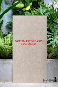 Gạch ốp lát Ấn Độ 60x120 vàng kem mờ