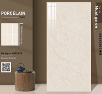 Gạch ốp lát Ấn Độ 60x120 VG12623