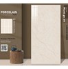 Gạch ốp lát Ấn Độ 60x120 VG12623