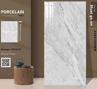 Gạch ốp lát Ấn Độ 60x120 VG12625