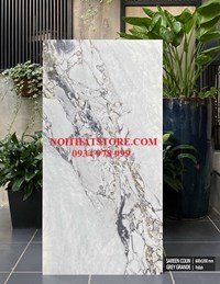 Gạch ốp lát Ấn Độ 60x120 xám vân đá