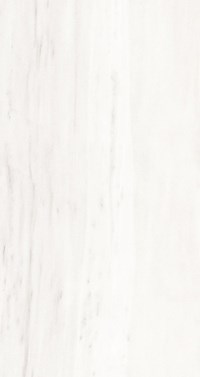 Gạch ốp lát Apodio 60x120 61111060