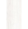 Gạch ốp lát Apodio 60x120 61111060
